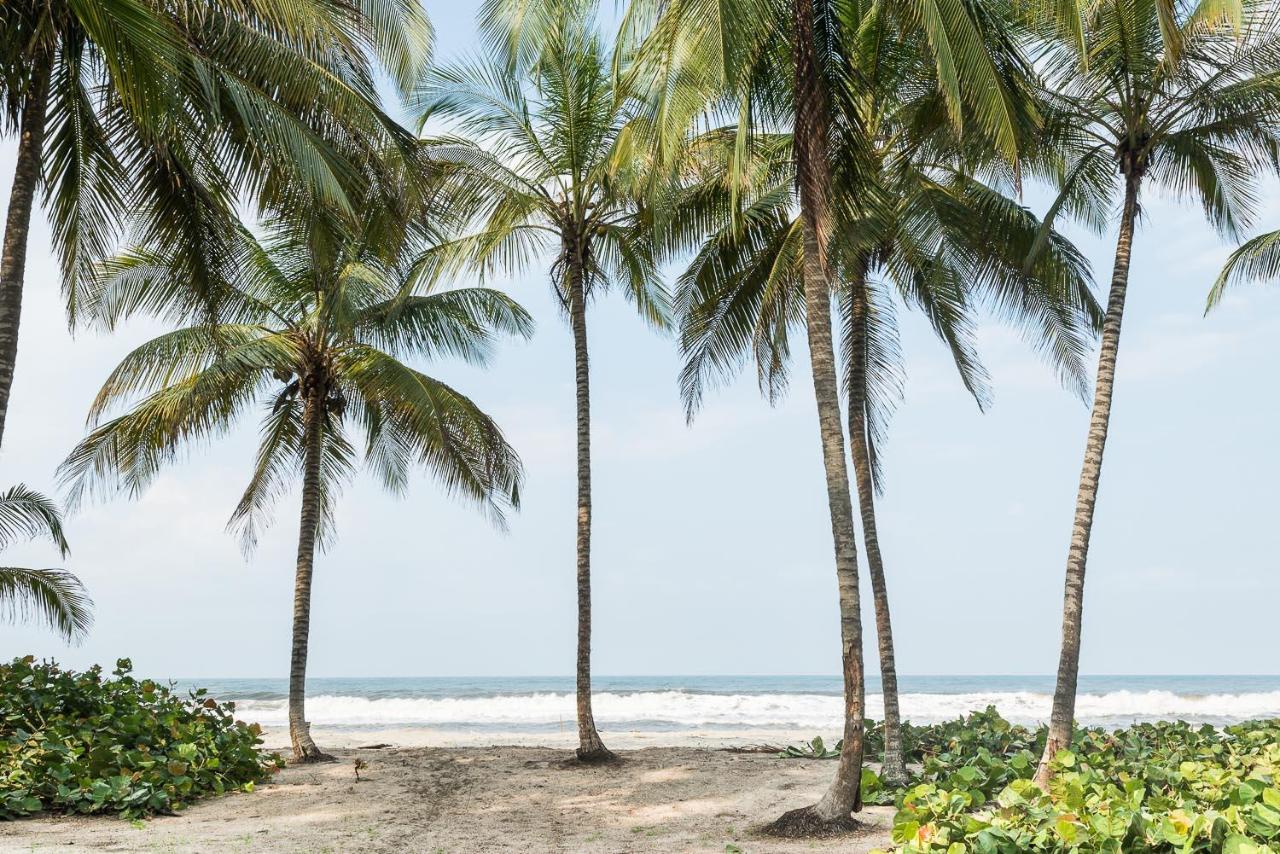 Tayrona Tented Lodge Guachaca Zewnętrze zdjęcie